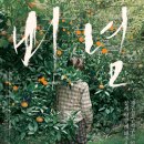 더힐링포차 이미지