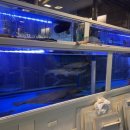 고분로 | [부산 연산동 맛집] 부산 연산동 산오징어회, 모듬회 맛집 "세모집" 내돈내산 후기