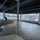 세영아쉬탕가요가 이미지