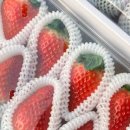 소농농장 이미지