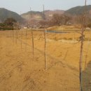 연세농장 이미지