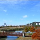 남악수변공원 이미지