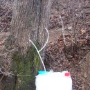 인제18-3 이미지