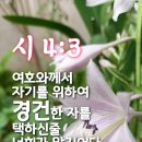 주님앞에제일교회 티스토리
