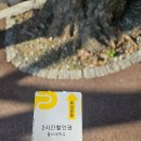 동아대학교 승학캠퍼스 | 2026 제1차 한국중학생화학대회(KMChC) 응시 후기