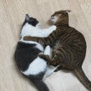 행운콩나물국밥