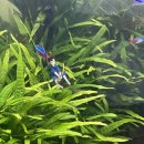 고여금감자탕 서울직영점 이미지