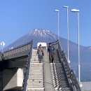 알파여행도서관 | 시즈오카 3박 4일 여행 : 다음은 다음 지금은 지금