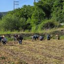 환경사업소 이미지