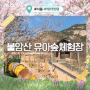 초안산 유아숲체험장 | 불암산힐링타운 유아숲체험장 서울 아이랑 가볼만한곳 추천 (+주차장)