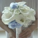 (주)비스 이미지