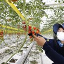 박용주농장 이미지