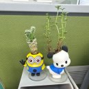 (주)멕시칼리 네이버블로그