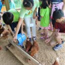 정원충전소 이미지