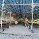 현애리농장 이미지