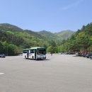 애국지사김태희묘소 | 청주 문의문화재단지(문의민속마을, 대청호 미술관) 탐방