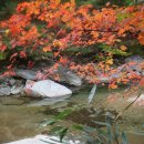 경전상회 이미지