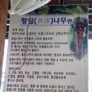 우림정 | 진주오리불고기 맛집 &#39;우림정&#39;에서 오리불고기 먹고온 후기 :)