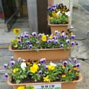 장수노래교실 이미지