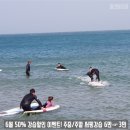 서프라운지