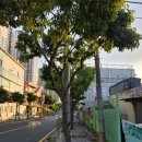 돈짝 학장점 이미지