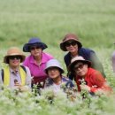 구와우농장 이미지