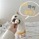 Dear My Blank | 대전 강아지 간식 전문점 &lt;디어 마이 블랭크&gt;