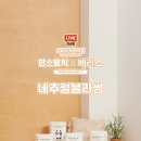 조이블라썸