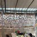 서가산곰장어 이미지