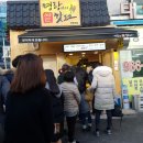 명랑도그 네이버블로그