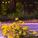 2025년 입동에... 이미지