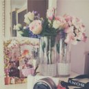 나나캣(nanacat) 이미지