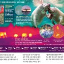 `Netizen 신비 동물의 왕국` 2018. 7. 15(일요 특집) 이미지