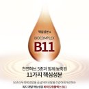 비옥신 포르테 샴푸,세럼 무료체험단 이벤트 (2018.10.31~2018.11.11) 이미지