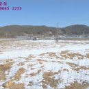 용정삼거리 인근 이미지