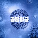 메가엠지씨커피남양주 - 남양주시 경춘로1256번길 9 | 메가엠지씨커피남양주