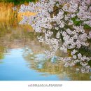 아사달목장 이미지