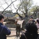 창경궁 홍화문 옆 이미지