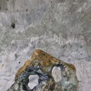 활옥관광농원 이미지