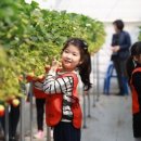 광형농장 이미지