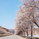 파계 오토캠핑장 이미지