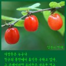 우정유통 이미지