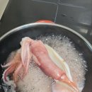속초산오징어