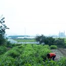 진봉농장 이미지