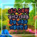 주말 대구 가족 부모님 아이들이랑 가볼만한 곳. 달서구 대곡동 대구 수목원 튤립 철쭉 만개 / 산책하기...