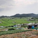 서촌마을
