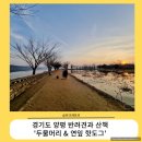 일몰이 예쁜 반려견과 산책하기 좋은 곳_사진 예쁜 곳_연잎 핫도그_전참시 핫도그_주차_가격_주의사항_후기