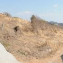 고금면사무소 이미지