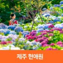 이스틀리 이미지