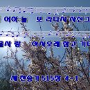 하늘보라 이미지